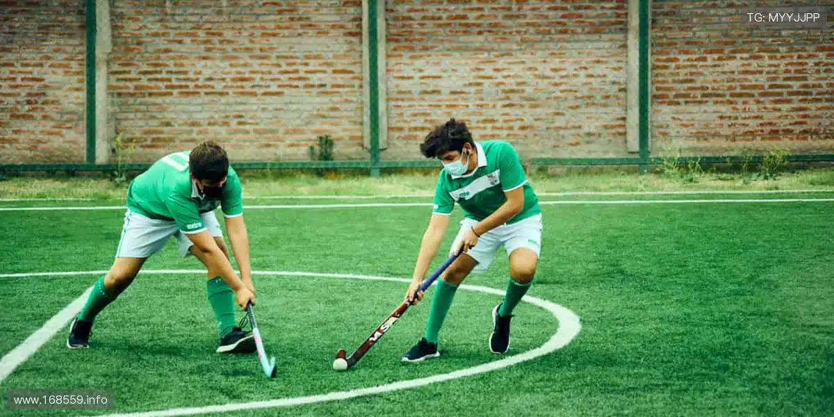 💻高清直播，身临其境！📡